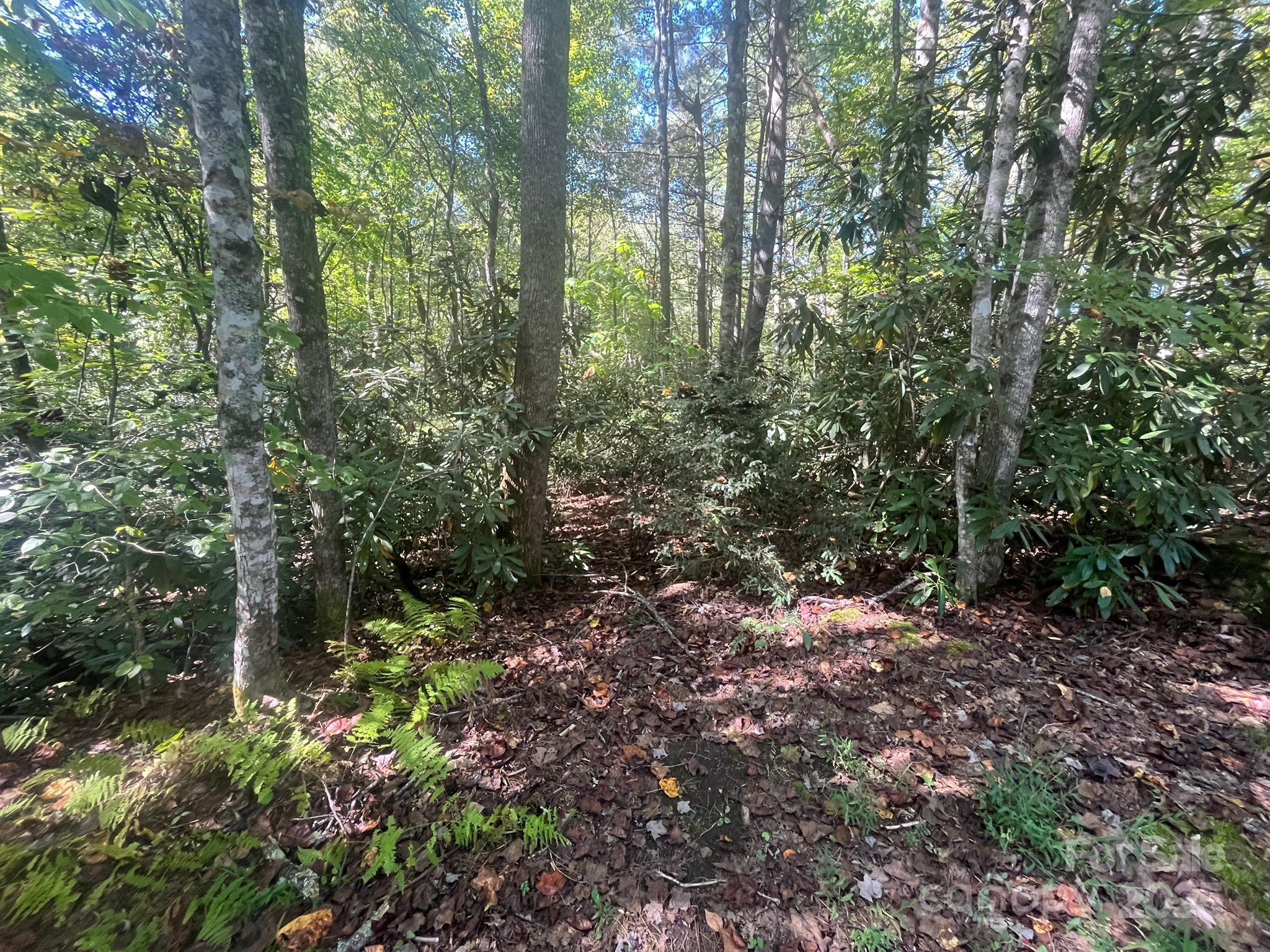 Tbd Honey Suckle Ridge Road, Unit LOT 14 Pisgah Forest, NC 28768 - Photo 2 of 11