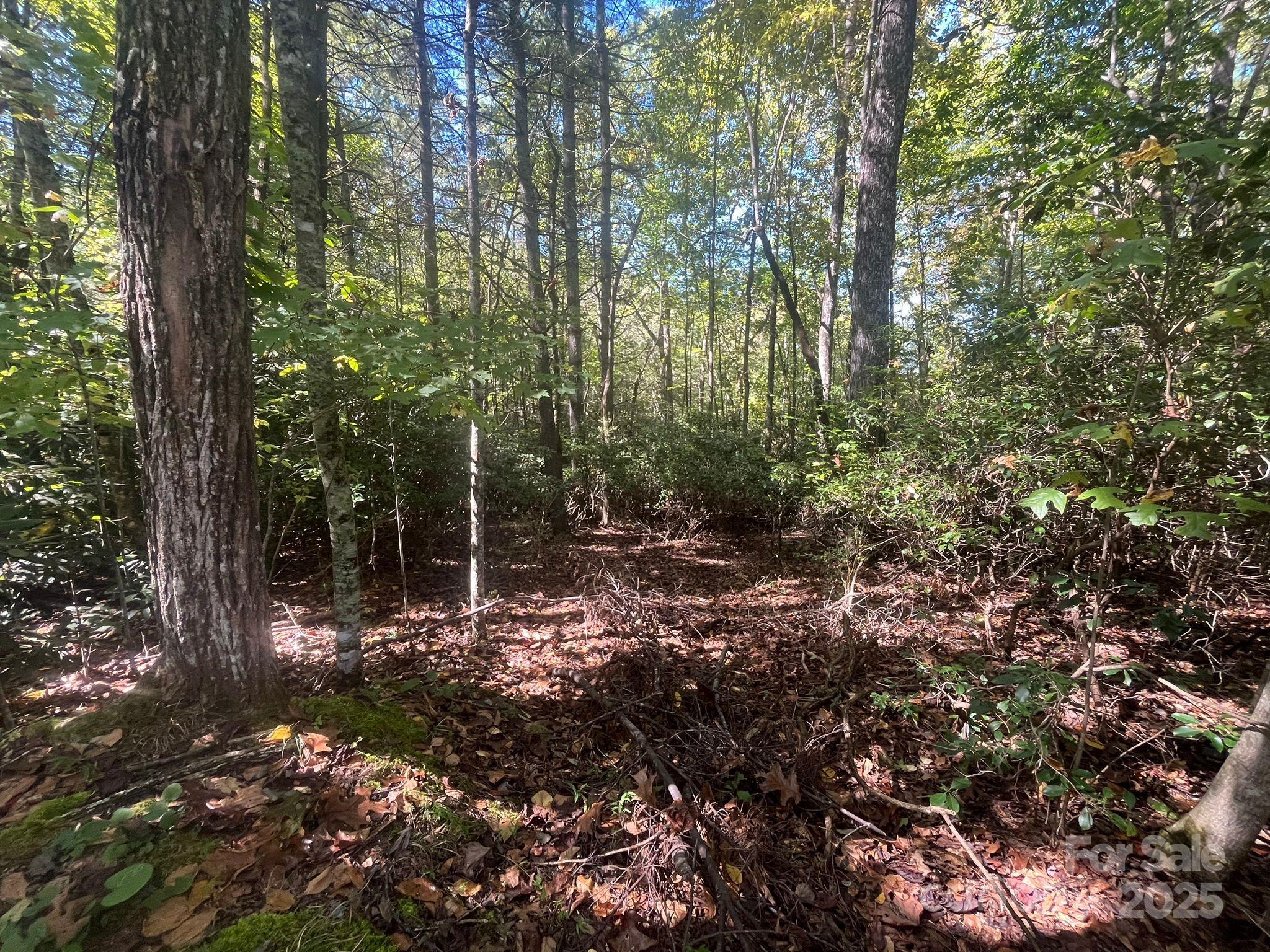 Tbd Honey Suckle Ridge Road, Unit LOT 14 Pisgah Forest, NC 28768 - Photo 3 of 11