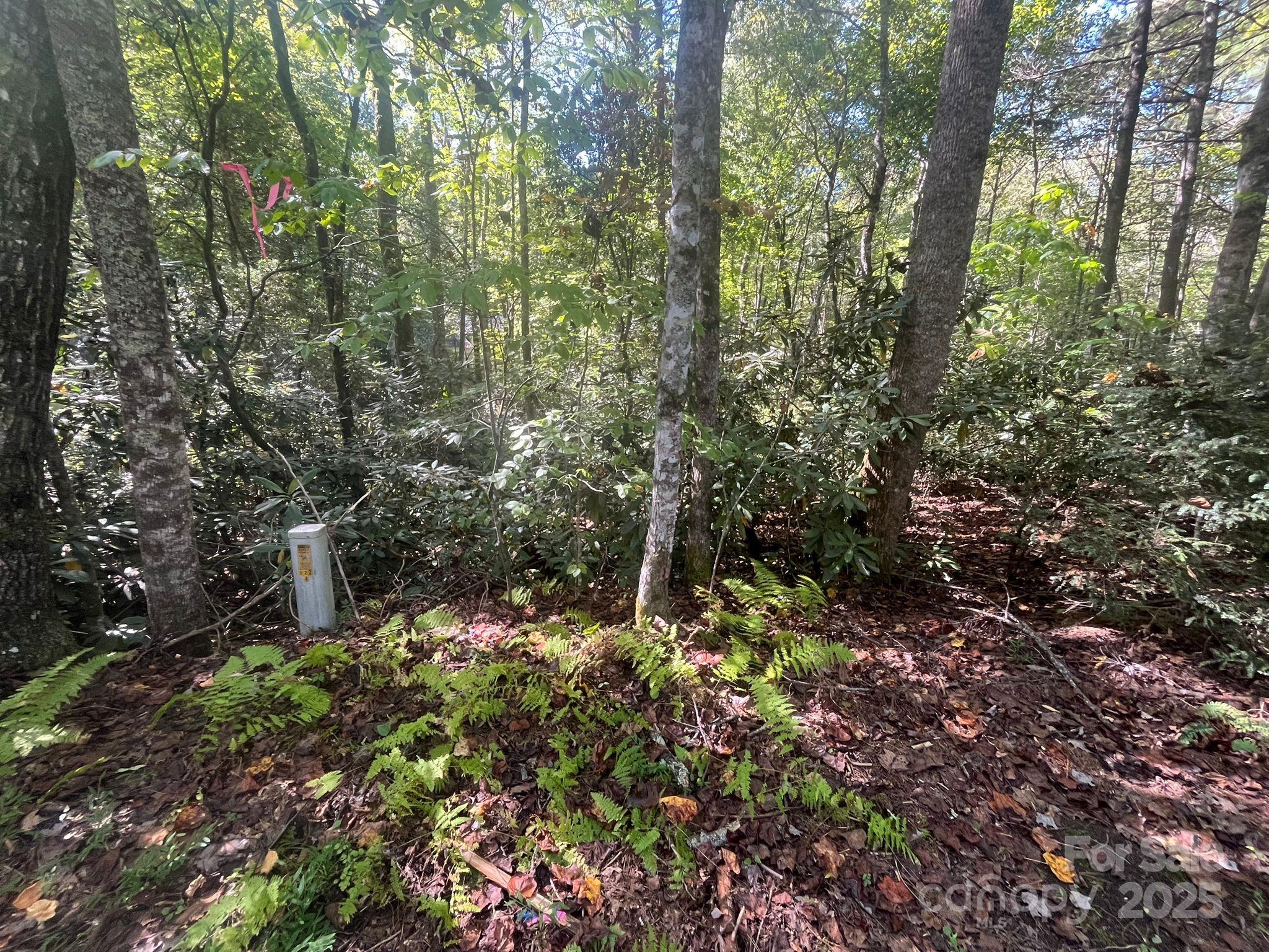 Tbd Honey Suckle Ridge Road, Unit LOT 14 Pisgah Forest, NC 28768 - Photo 4 of 11