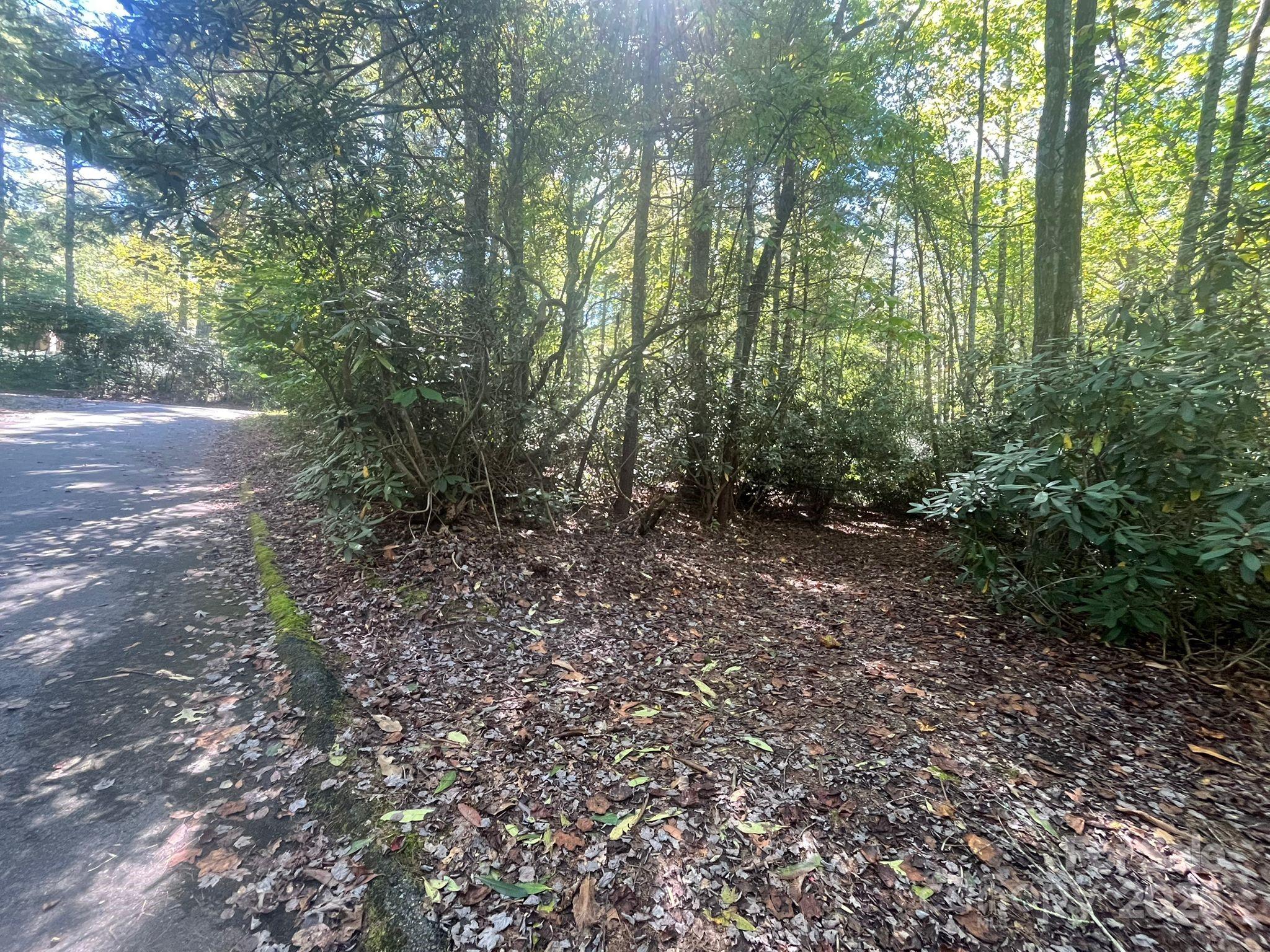 Tbd Honey Suckle Ridge Road, Unit LOT 14 Pisgah Forest, NC 28768 - Photo 7 of 11