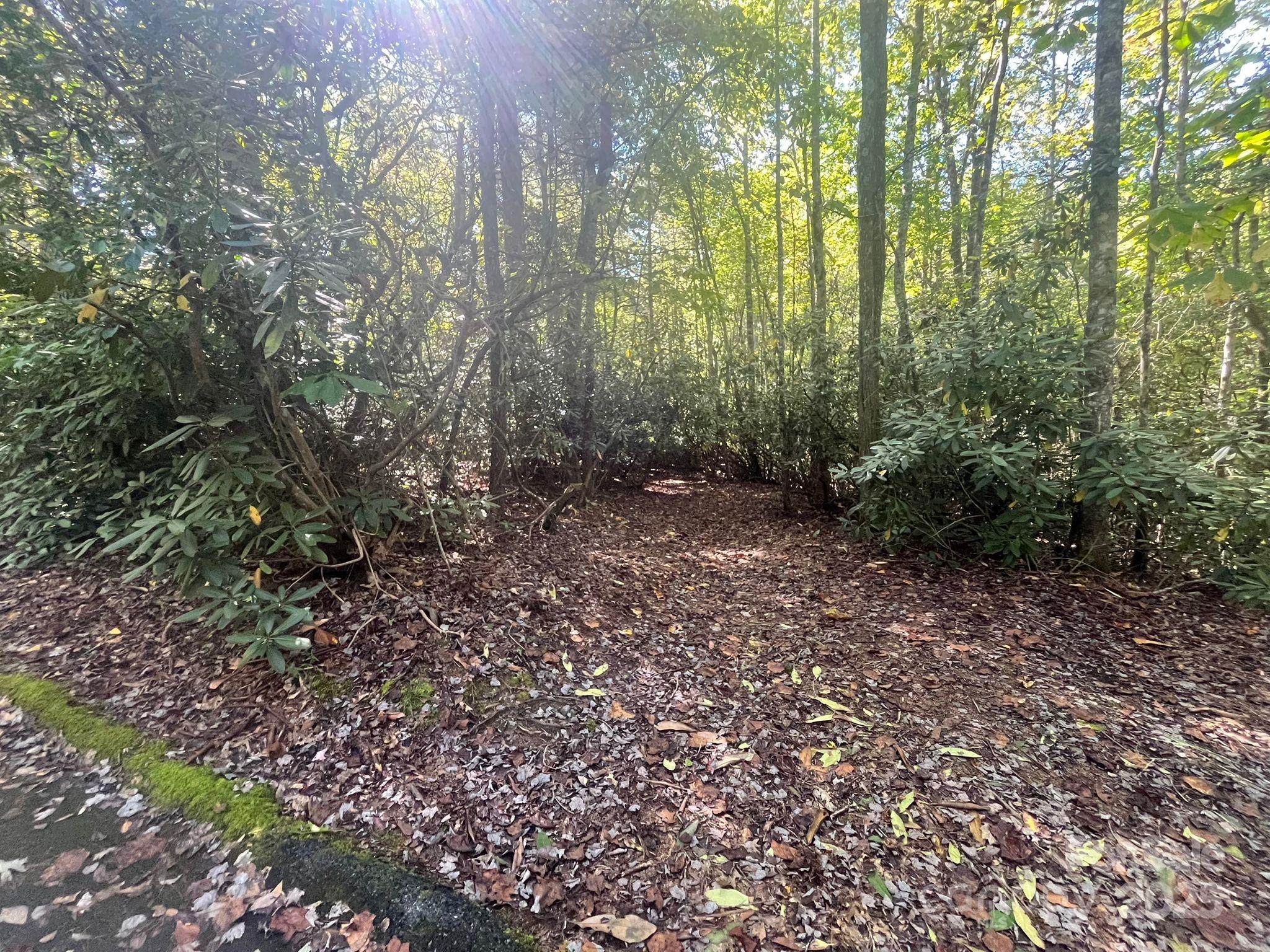Tbd Honey Suckle Ridge Road, Unit LOT 14 Pisgah Forest, NC 28768 - Photo 10 of 11