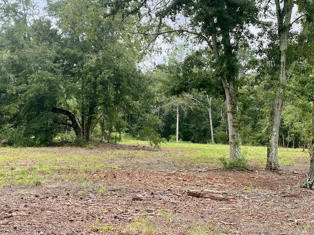 Tbd Redds Branch Road Aiken, SC 29801 - Photo 12 of 23