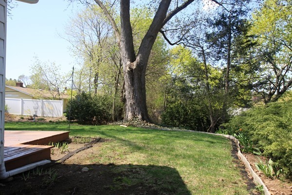 19 Cherry Road Framingham, MA 01701 - Photo 20 of 23 a view of a yard with large trees