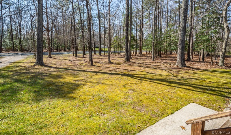 2093 Venter Road Aylett, VA 23009 - Photo 36 of 48 Large, private front yard.