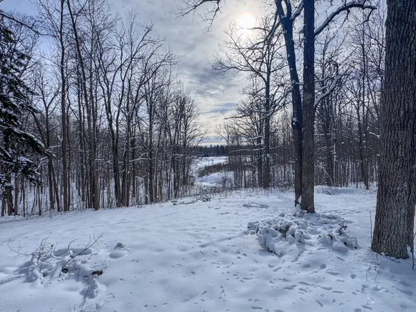 $179,900 | 23165 County 118, Laporte, MN 56461