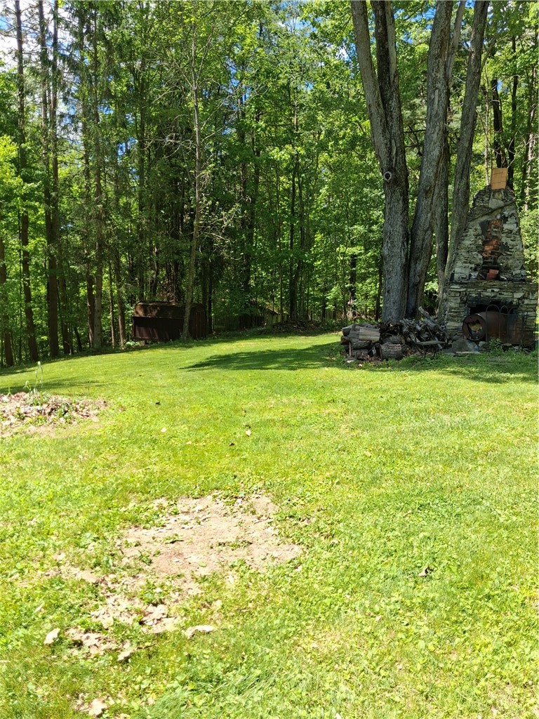 3834 Cranes Road Addison, NY 14801 - Photo 15 of 20 part of lawn