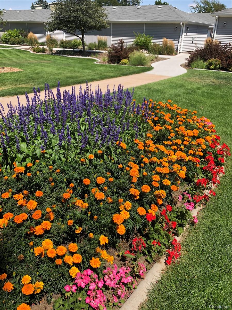 9155 Center Avenue, Unit 9B Denver, CO 80247 - Photo 18 of 35 a view of a bunch of flowers in front of a house