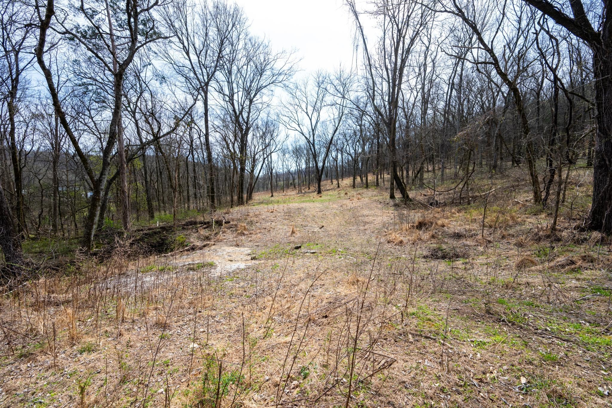 2 Sherrilltown Road Watertown, TN 37184 - Photo 17 of 50
