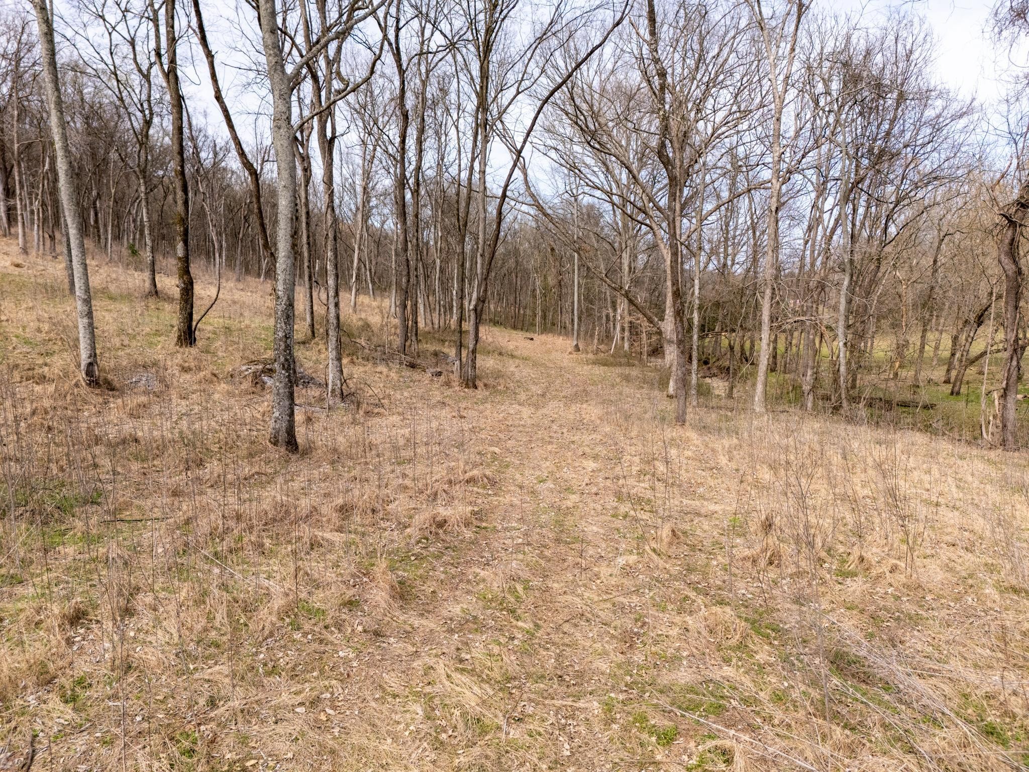 2 Sherrilltown Road Watertown, TN 37184 - Photo 3 of 50
