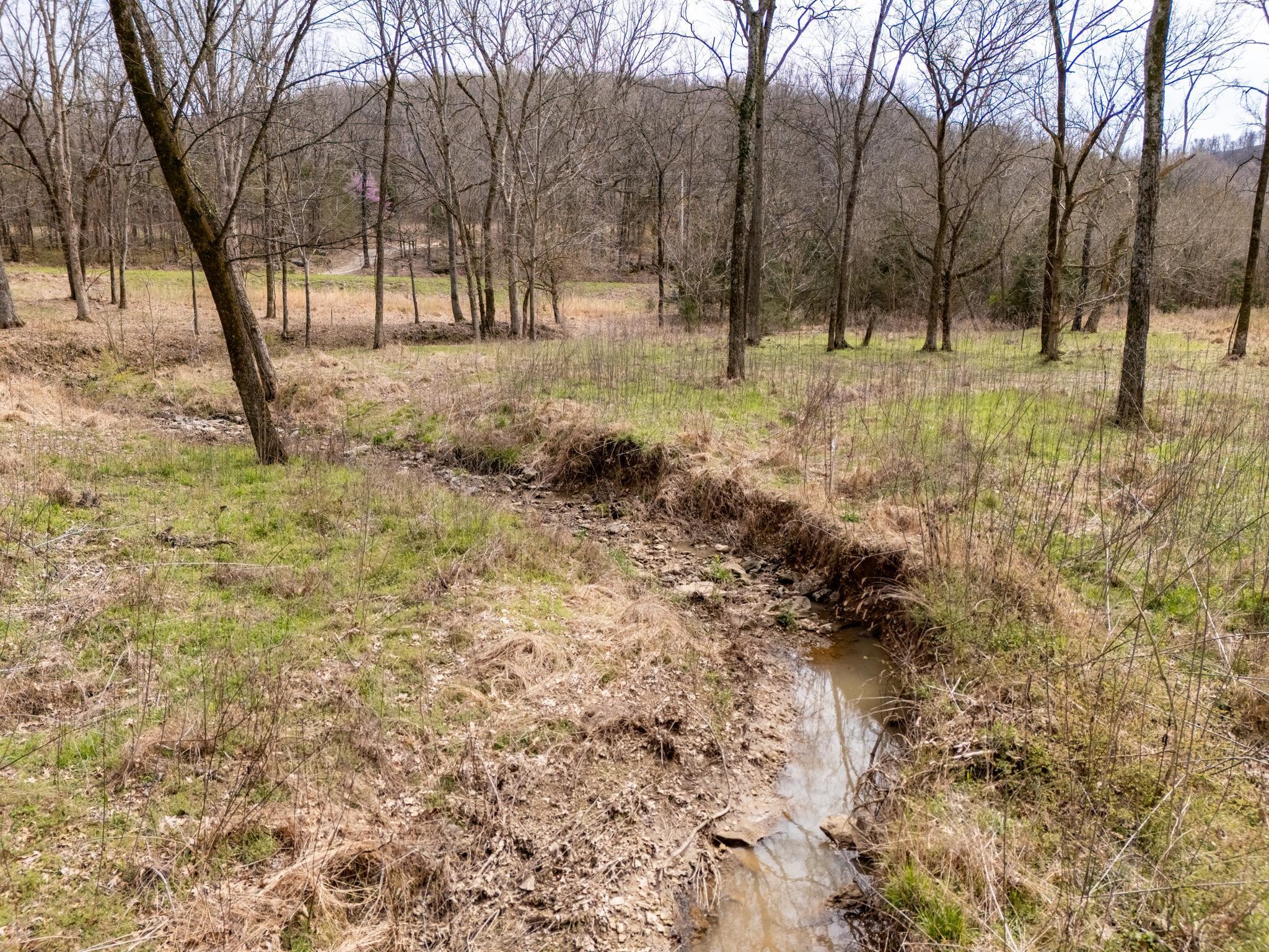 2 Sherrilltown Road Watertown, TN 37184 - Photo 39 of 50
