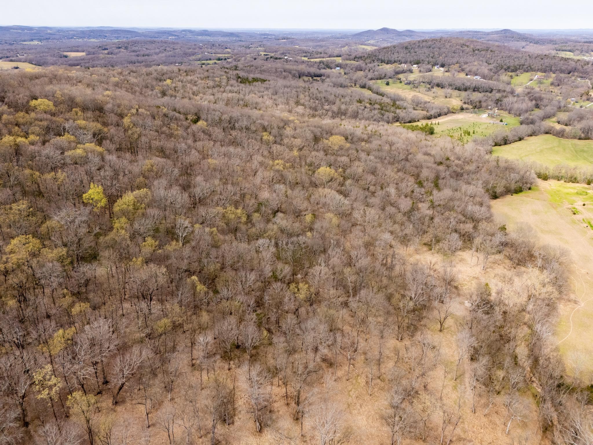 2 Sherrilltown Road Watertown, TN 37184 - Photo 45 of 50