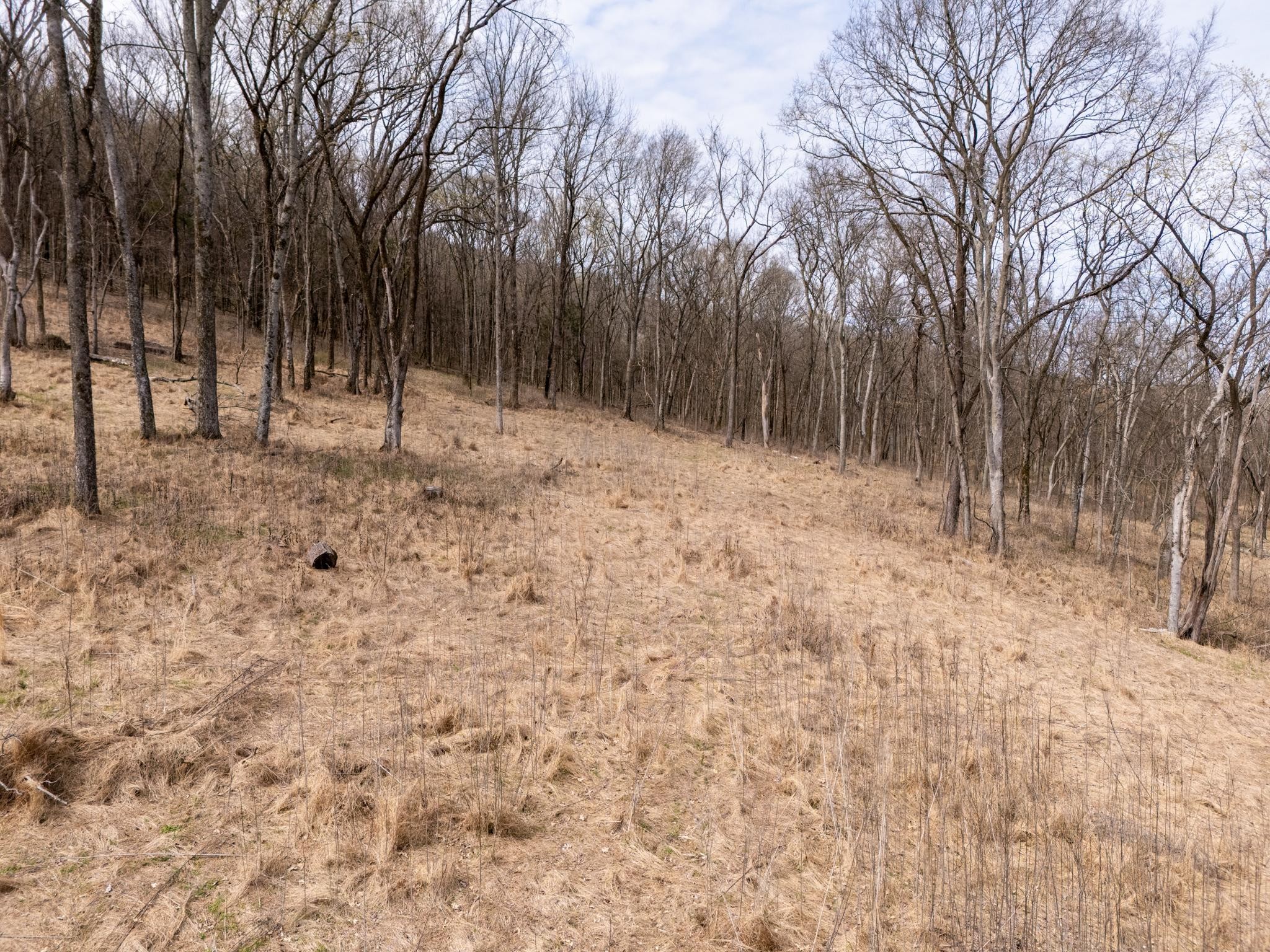 2 Sherrilltown Road Watertown, TN 37184 - Photo 5 of 50
