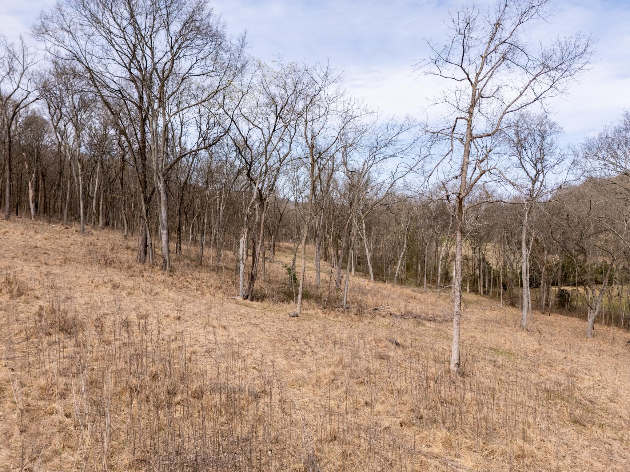 2 Sherrilltown Road Watertown, TN 37184 - Photo 7 of 50