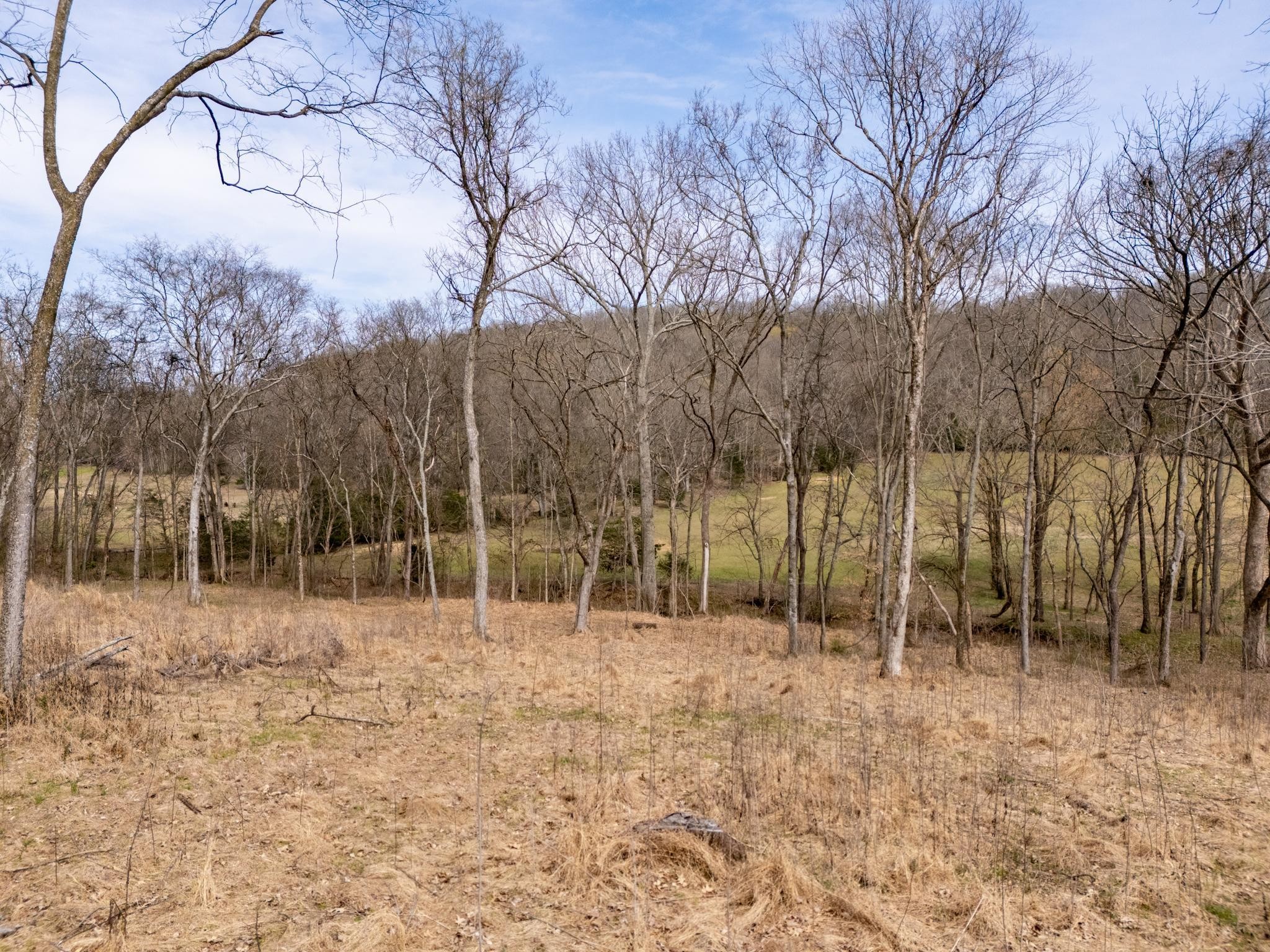2 Sherrilltown Road Watertown, TN 37184 - Photo 8 of 50