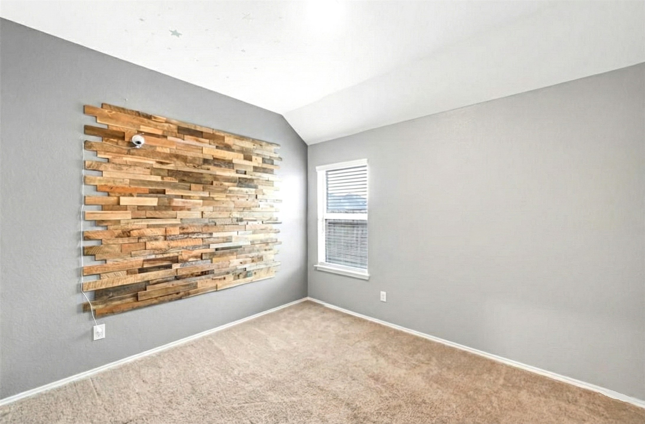 17439 Chester Valley Trail Hockley, TX 77447 - Photo 13 of 22 This room features neutral gray walls with a unique wooden accent wall, plush carpet flooring, and a window that allows natural light to brighten the space.