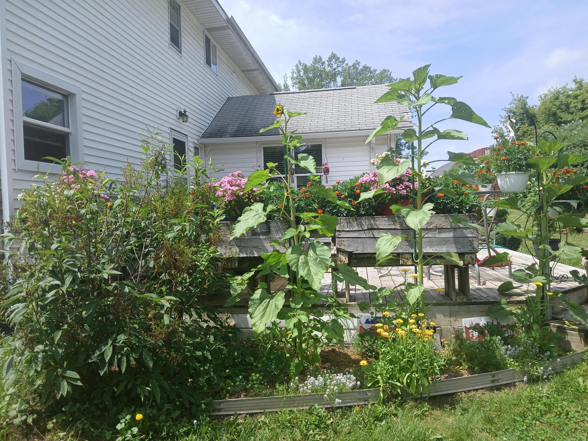 2489 10 Mile Road Northwest Sparta, MI 49345 - Photo 34 of 52 home west landscaping