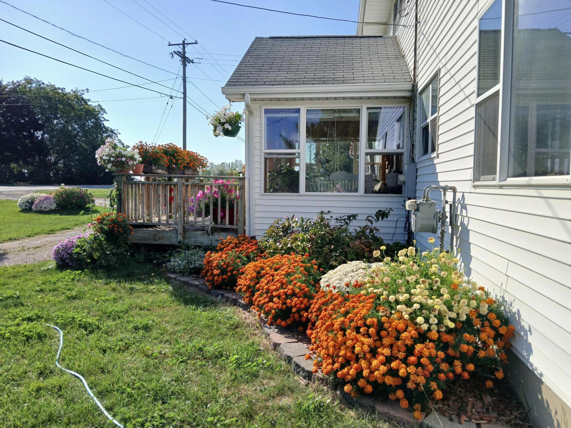 2489 10 Mile Road Northwest Sparta, MI 49345 - Photo 35 of 52 Front looking west