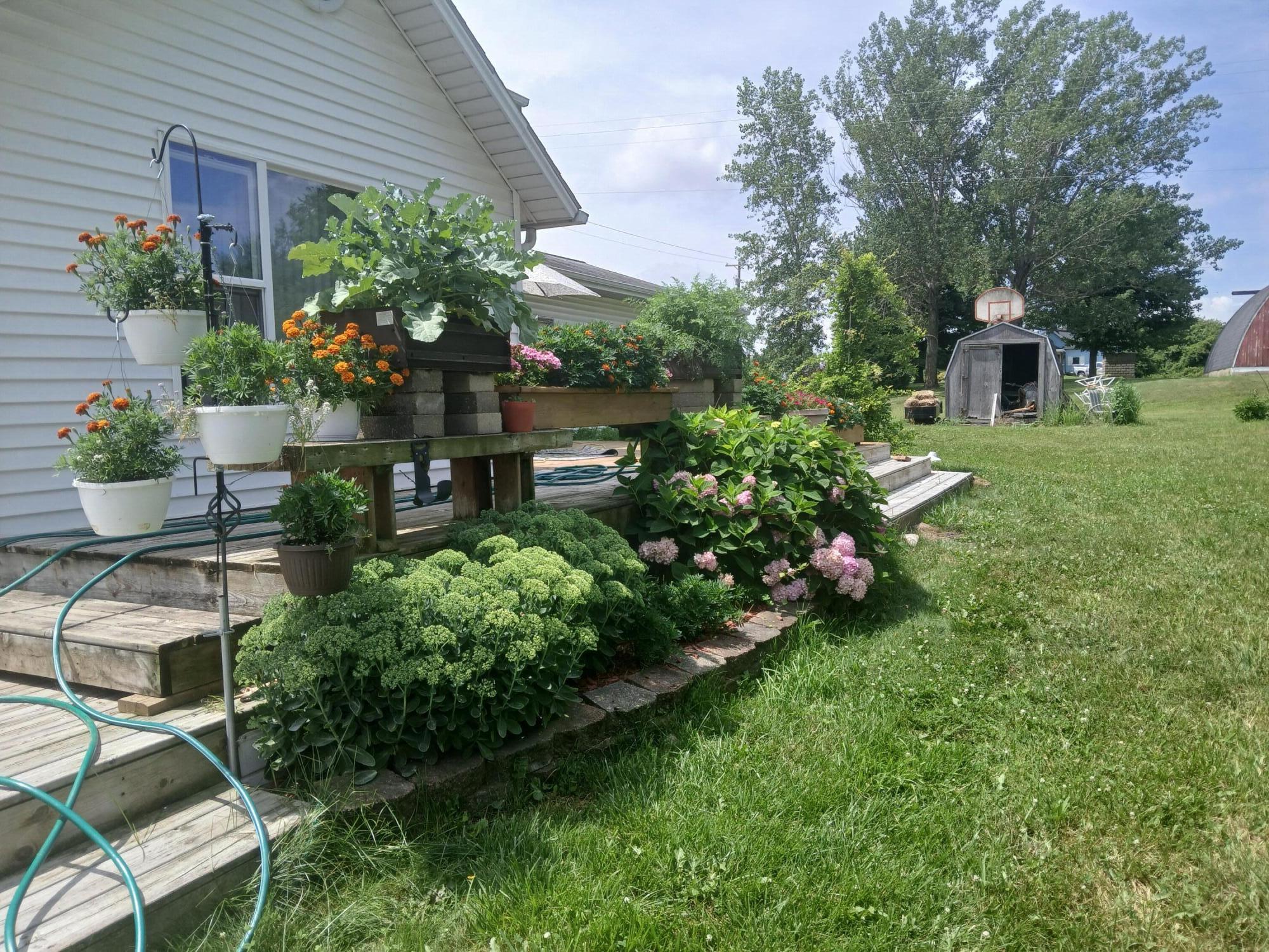 2489 10 Mile Road Northwest Sparta, MI 49345 - Photo 37 of 52 home back middle deck hydrangias