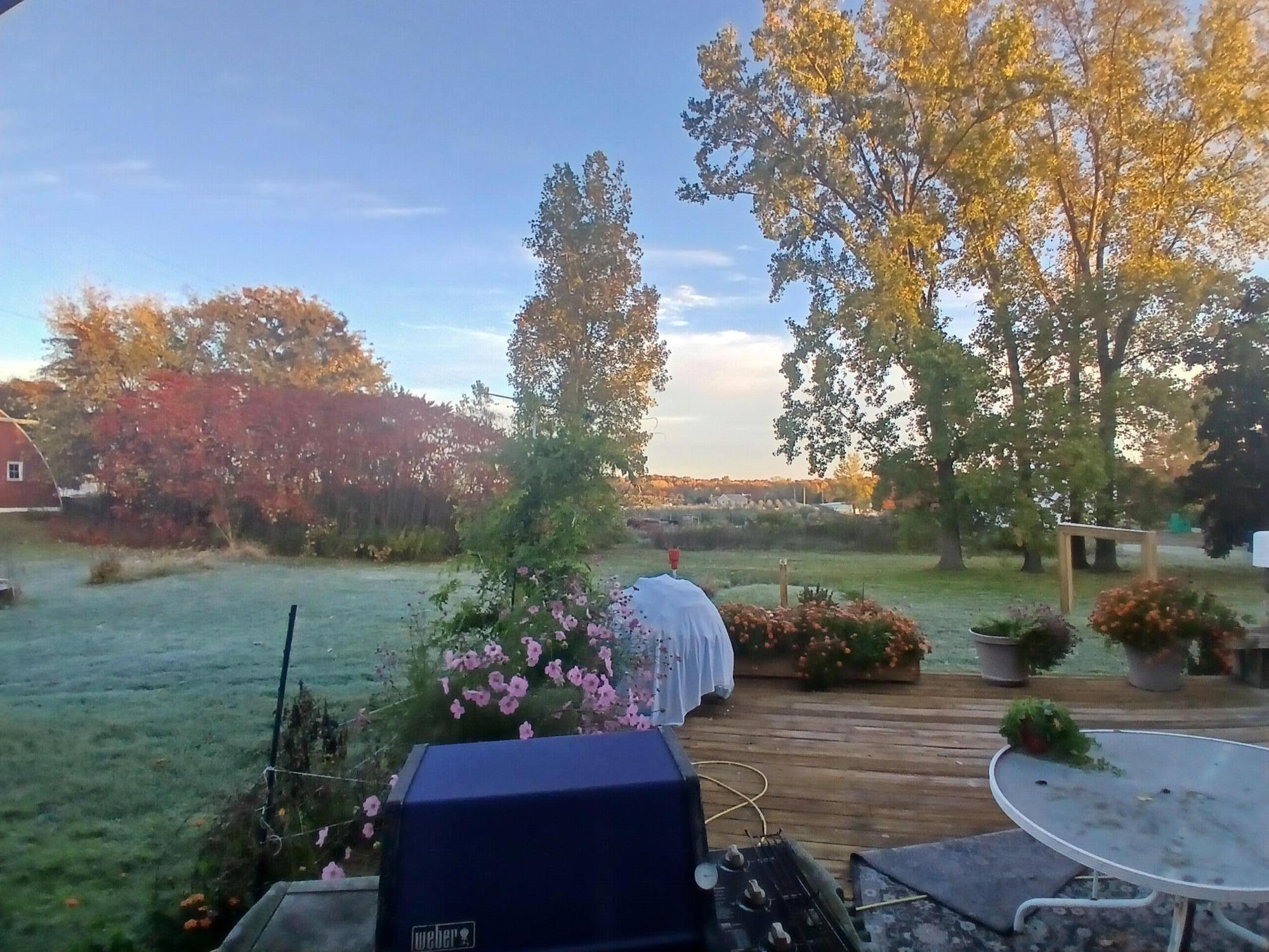 2489 10 Mile Road Northwest Sparta, MI 49345 - Photo 49 of 52 home back west deck fall