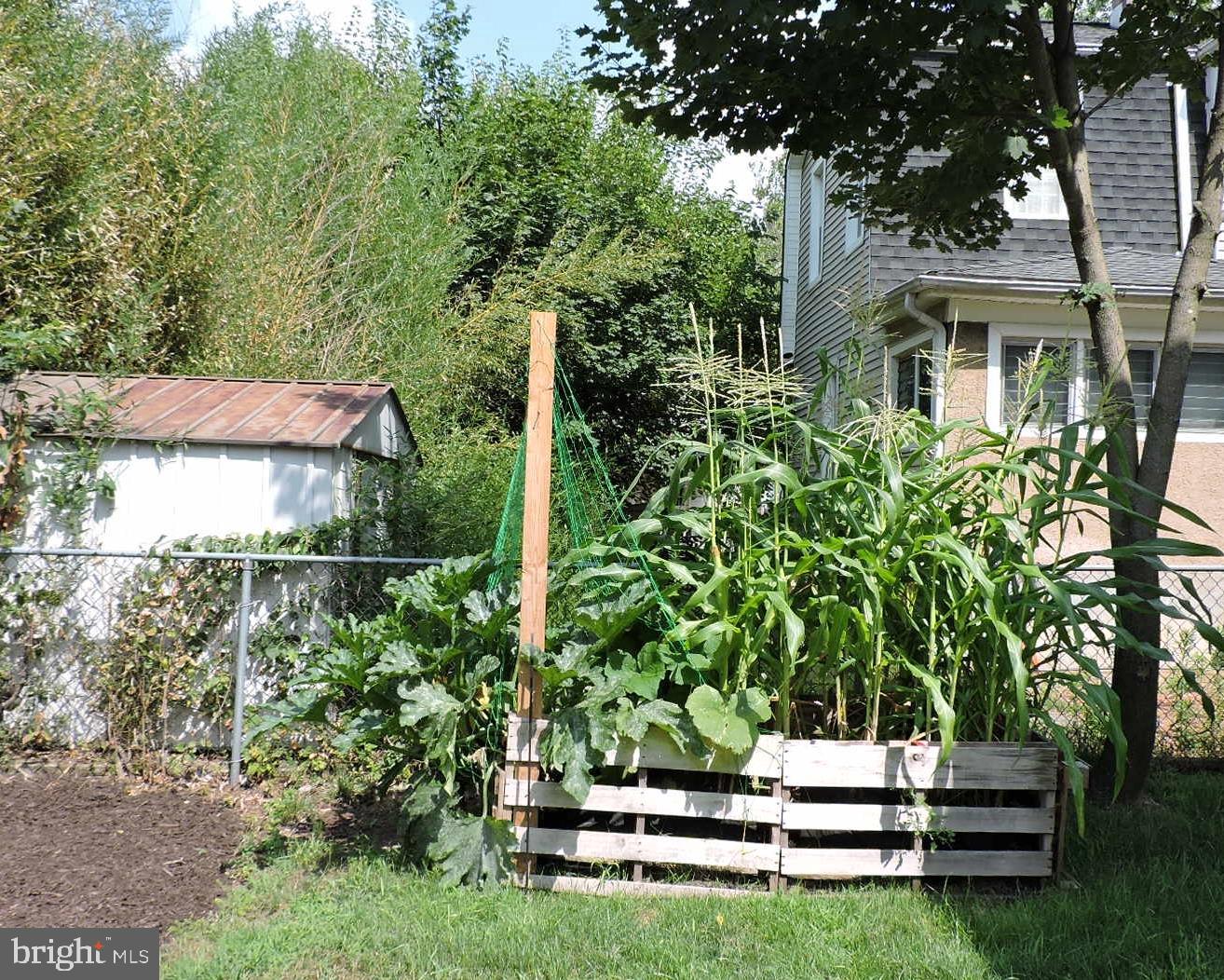 503 Arndt Avenue Riverside, NJ 08075 - Photo 17 of 21