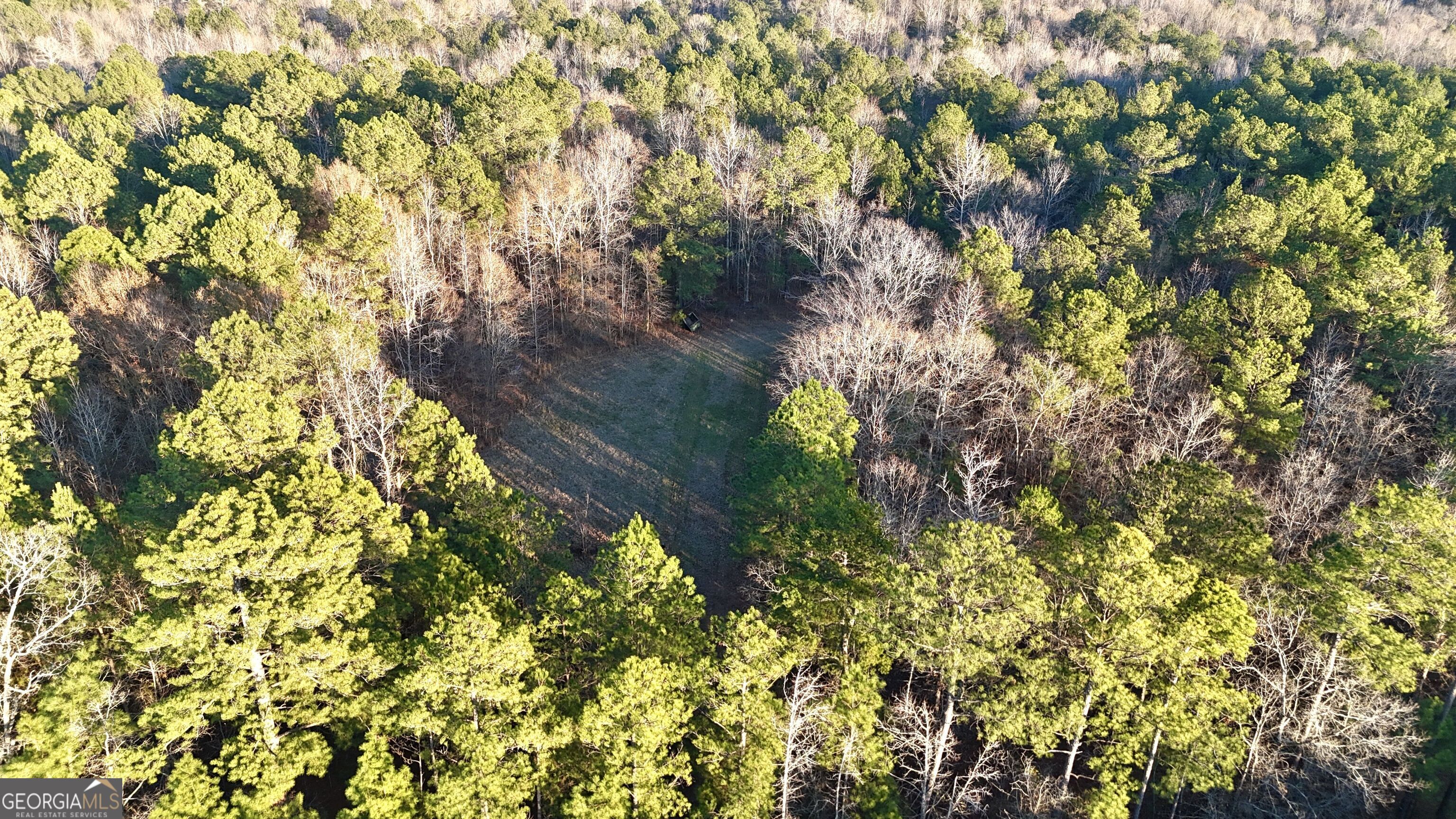 0 Cunningham Road Greensboro, GA 30642 - Photo 5 of 90