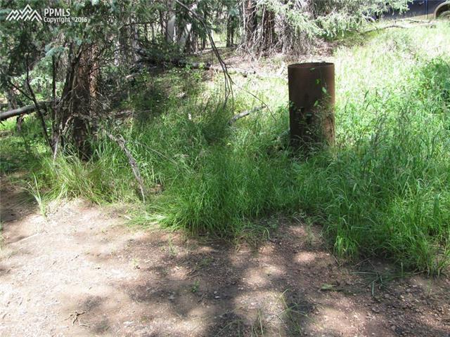Tbd Arrowhead Road Florissant, CO 80816 - Photo 11 of 17 Gallery Image 11