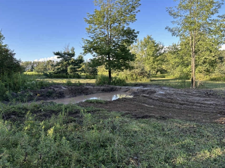 70 Windfall Run Road Tompkins, NY 13839 - Photo 5 of 10