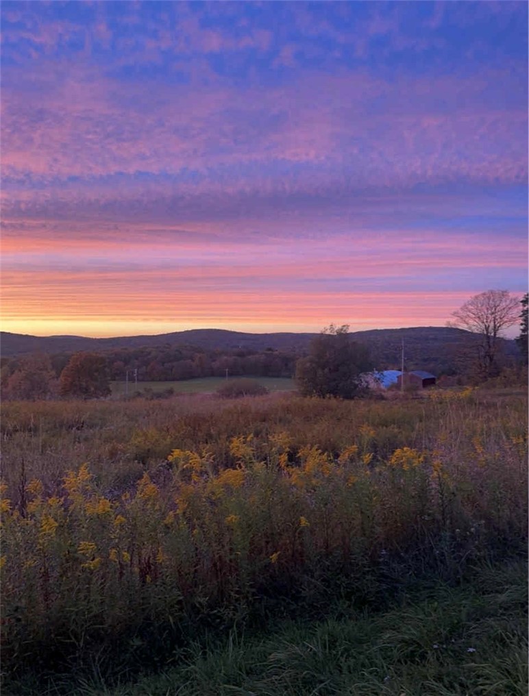 70 Windfall Run Road Tompkins, NY 13839 - Photo 6 of 10