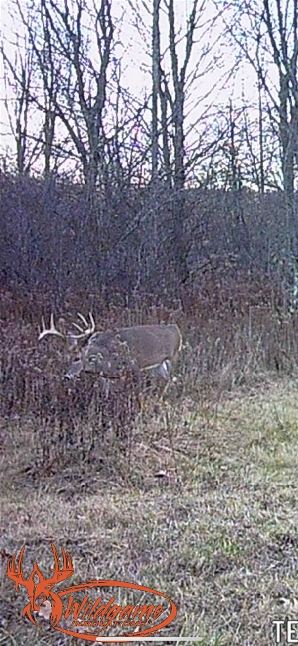 70 Windfall Run Road Tompkins, NY 13839 - Photo 7 of 10