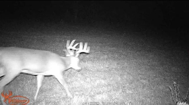 $85,000 | 70 Windfall Run Road, Tompkins, NY 13839