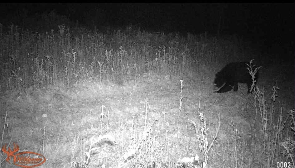 70 Windfall Run Road Tompkins, NY 13839 - Photo 10 of 10