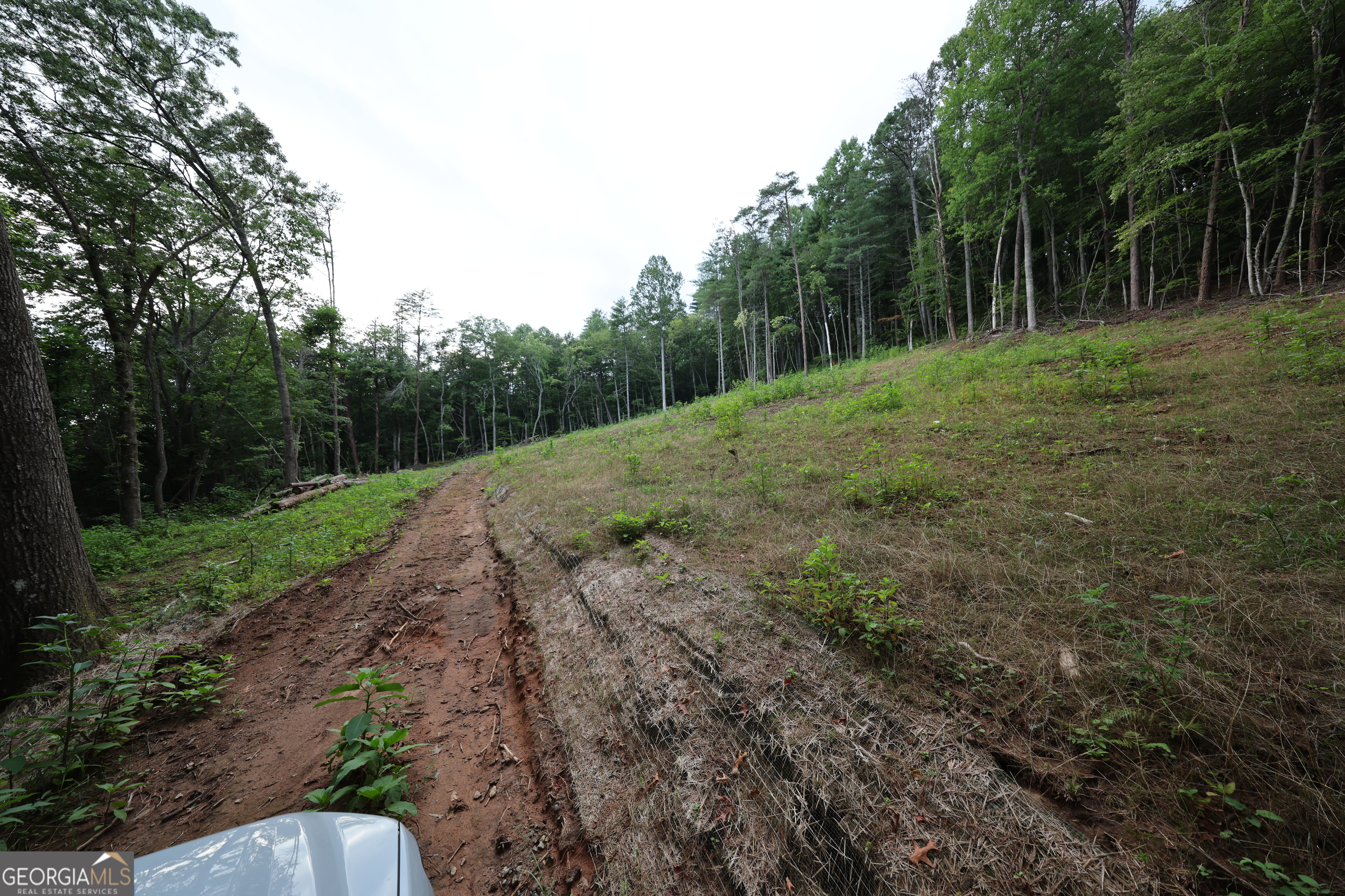 0 John Beck Dockins Rabun Gap, GA 30568 - Photo 1 of 5 a view of a forest with trees in the background
