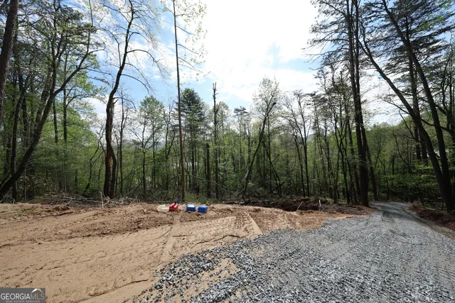 $100,000 | 0 John Beck Dockins, Rabun Gap, GA 30568