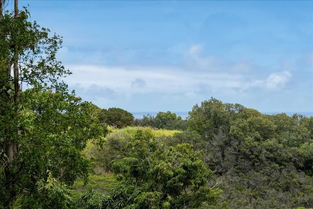 $1,450,000 | 265 Hahana Road, Haiku, HI 96708