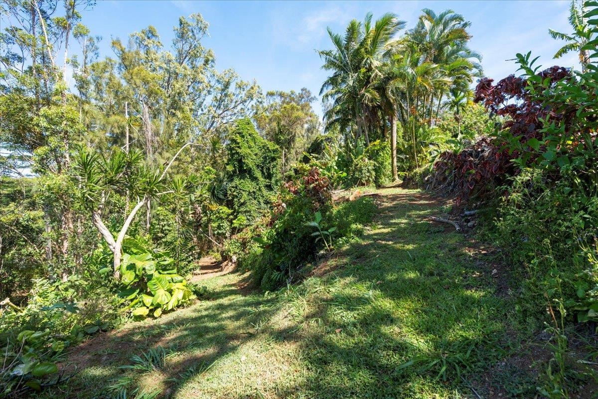 265 Hahana Road Haiku, HI 96708 - Photo 33 of 48 a backyard of a house with lots of green space