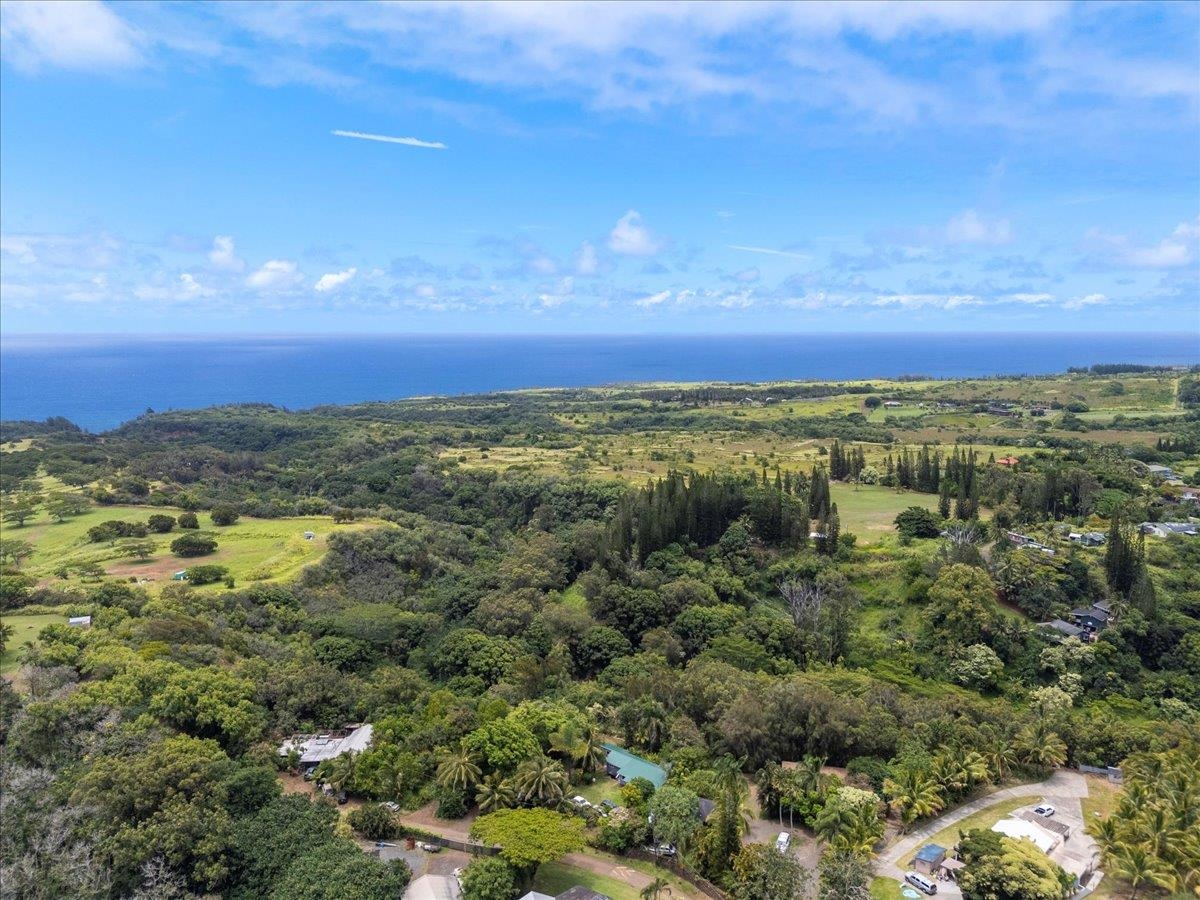 265 Hahana Road Haiku, HI 96708 - Photo 41 of 48 a view of an ocean