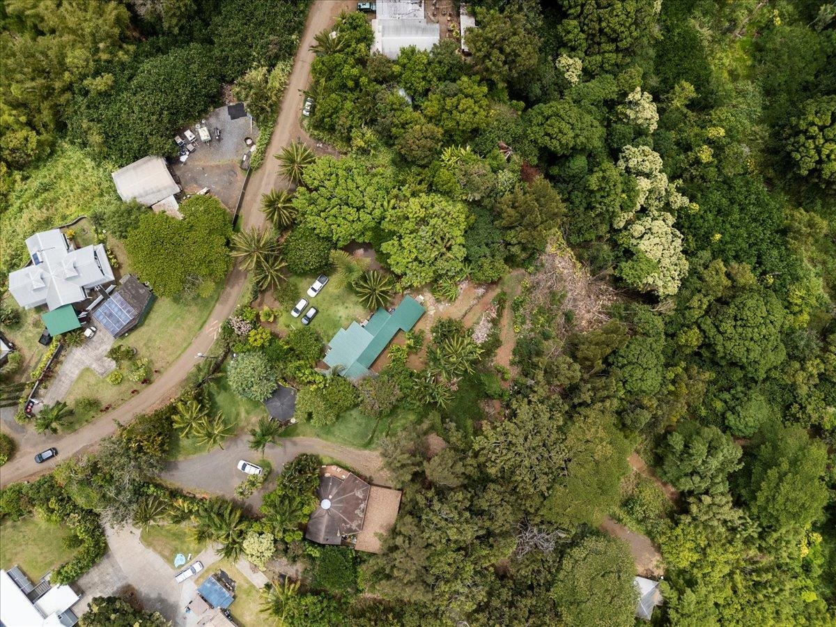 265 Hahana Road Haiku, HI 96708 - Photo 42 of 48 a view of a tree with a yard