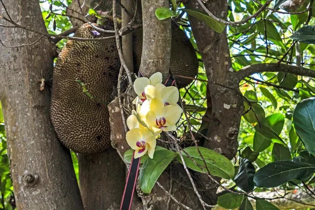 $1,450,000 | 265 Hahana Road, Haiku, HI 96708