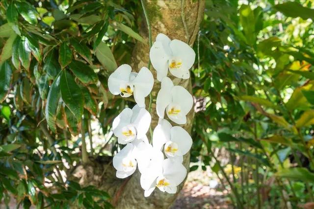 $1,450,000 | 265 Hahana Road, Haiku, HI 96708