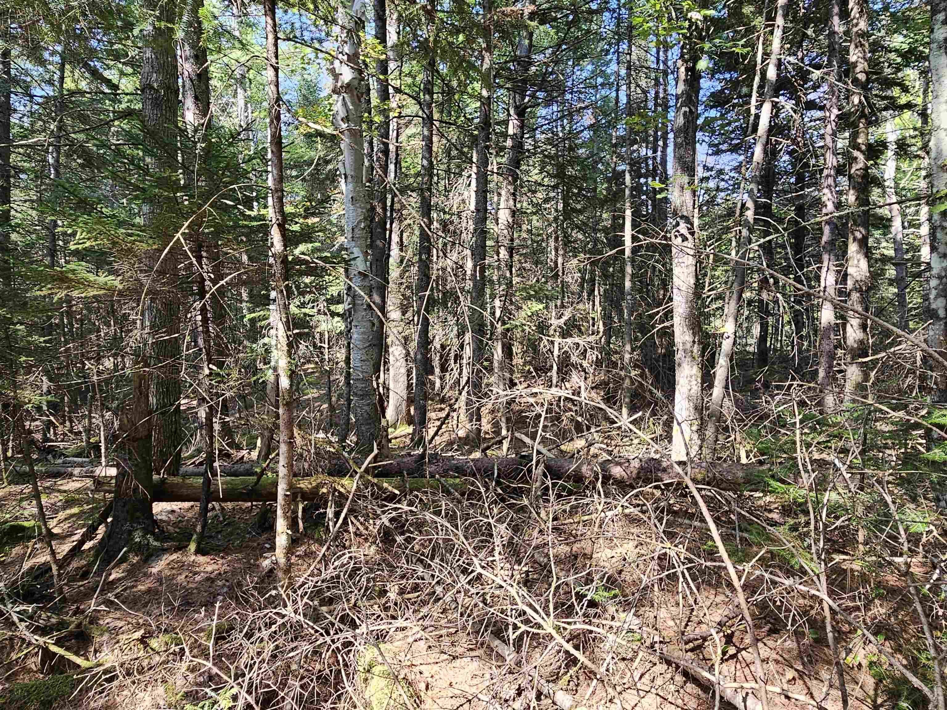 1476 Profile Road Franconia, NH 03580 - Photo 11 of 12