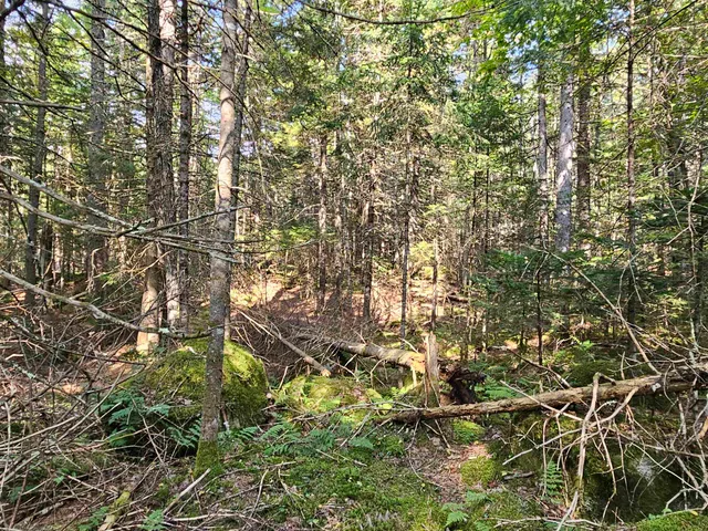 $235,000 | 1476 Profile Road, Franconia, NH 03580