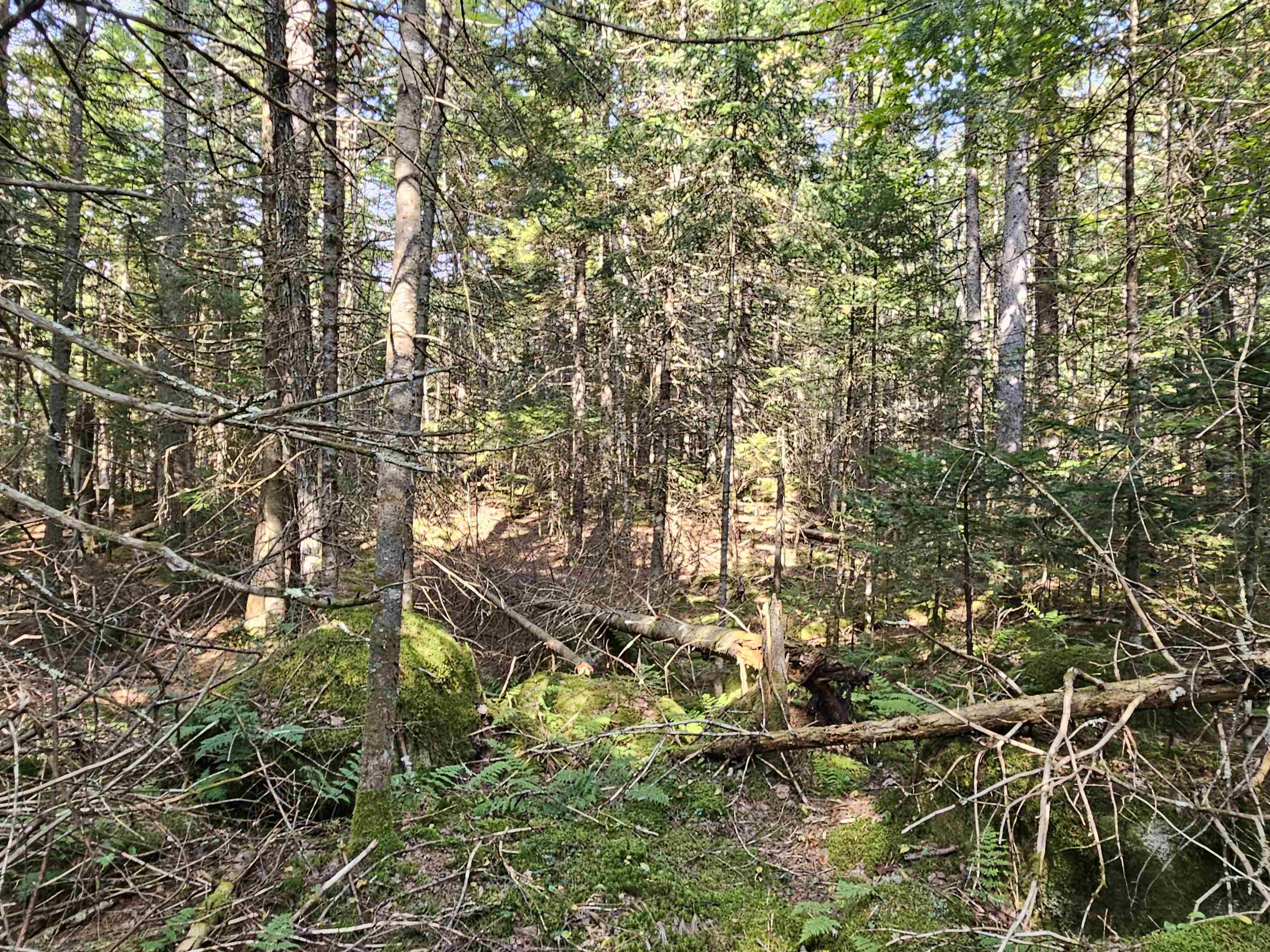 1476 Profile Road Franconia, NH 03580 - Photo 12 of 12