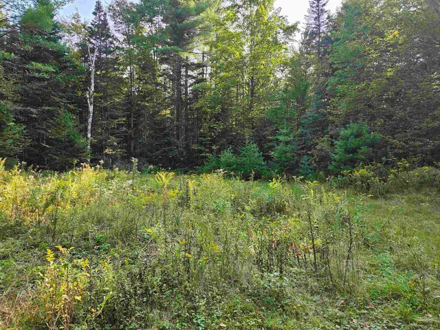 $235,000 | 1476 Profile Road, Franconia, NH 03580