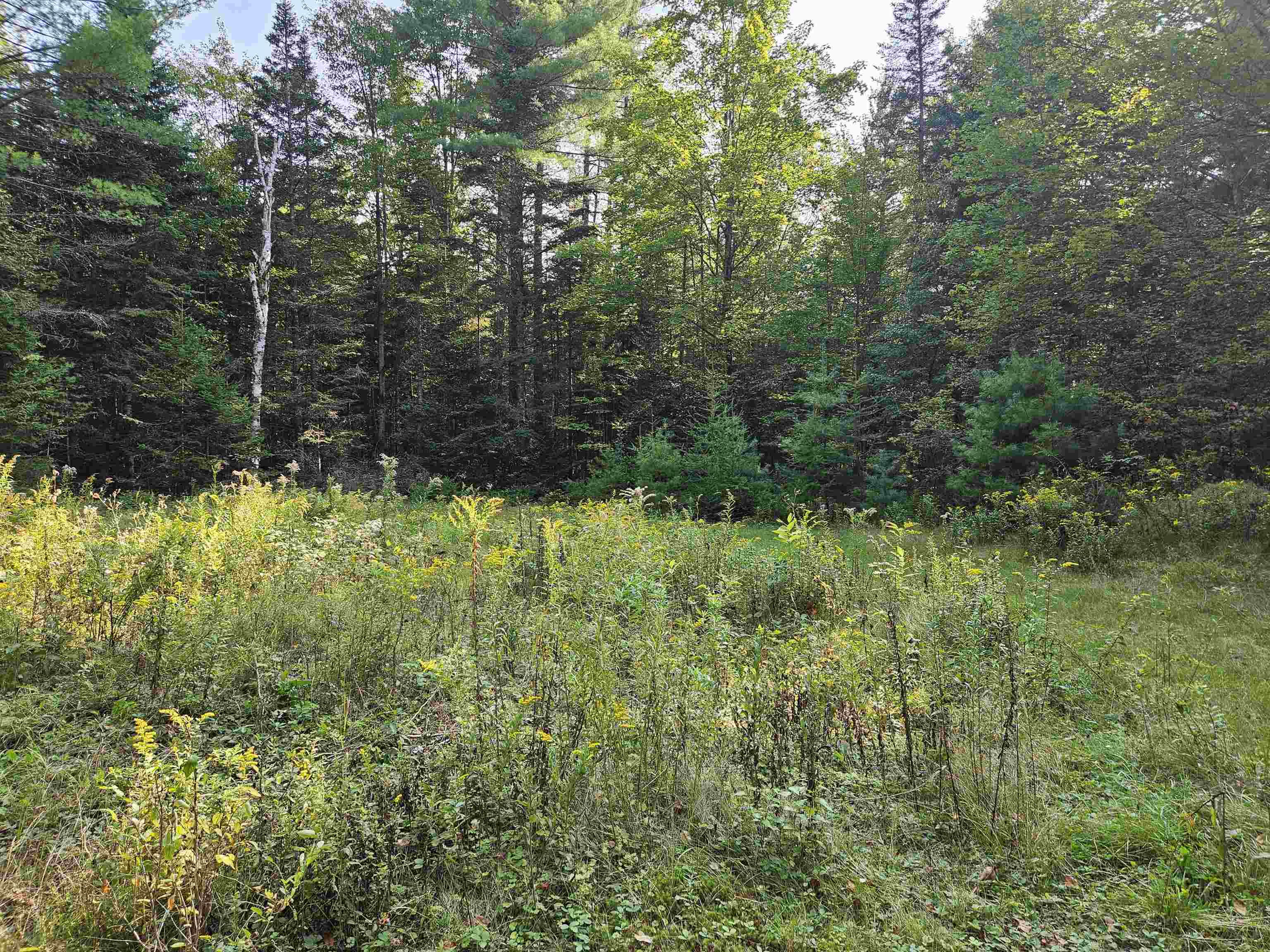 1476 Profile Road Franconia, NH 03580 - Photo 4 of 12