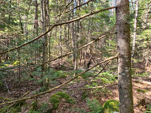 $235,000 | 1476 Profile Road, Franconia, NH 03580