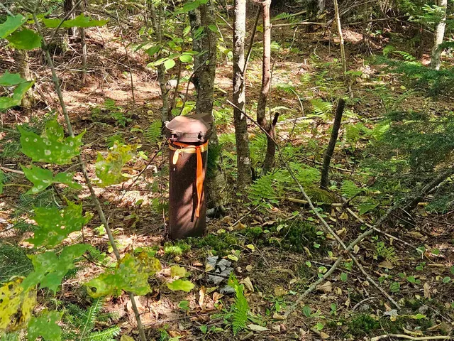 $235,000 | 1476 Profile Road, Franconia, NH 03580