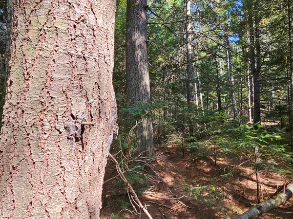 $225,000 | 1476 Profile Road, Franconia, NH 03580