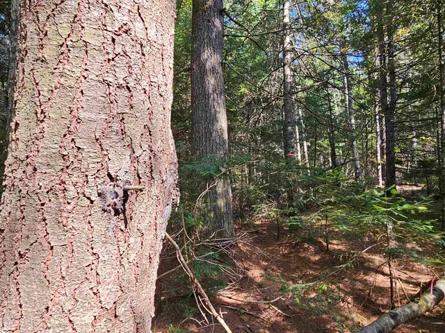 $235,000 | 1476 Profile Road, Franconia, NH 03580