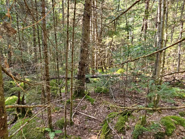$225,000 | 1476 Profile Road, Franconia, NH 03580