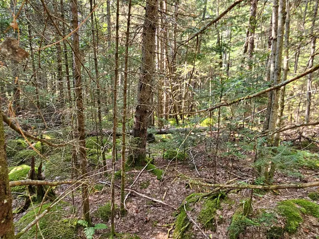 $235,000 | 1476 Profile Road, Franconia, NH 03580